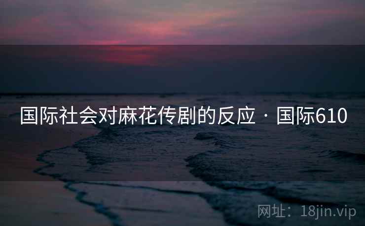 国际社会对麻花传剧的反应 · 国际610  第2张