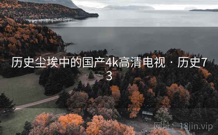 历史尘埃中的国产4k高清电视 · 历史73  第2张 历史尘埃中的国产4k高清电视 · 历史73  第2张