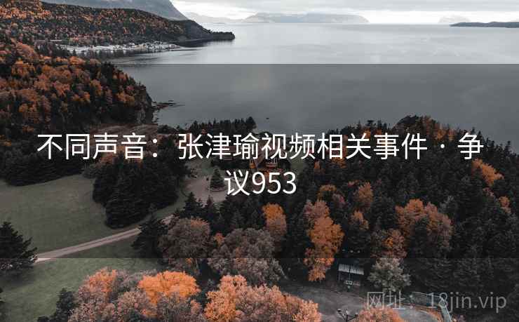 不同声音:张津瑜视频相关事件 · 争议953