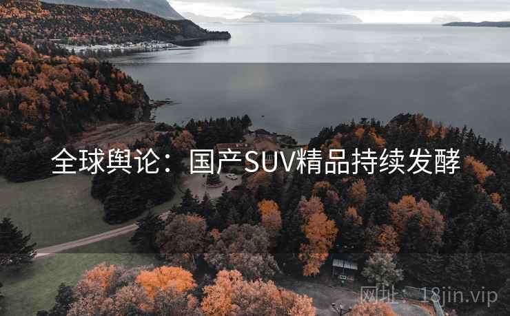 全球舆论:国产SUV精品持续发酵  第2张 全球舆论:国产SUV精品持续发酵  第2张