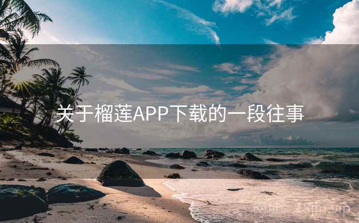 关于榴莲APP下载的一段往事  第1张 关于榴莲APP下载的一段往事  第1张