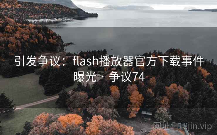 引发争议：flash播放器官方下载事件曝光 · 争议74