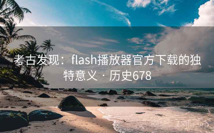 考古发现:flash播放器官方下载的独特意义 · 历史678 第1张 考古发现:flash播放器官方下载的独特意义 · 历史678 第1张